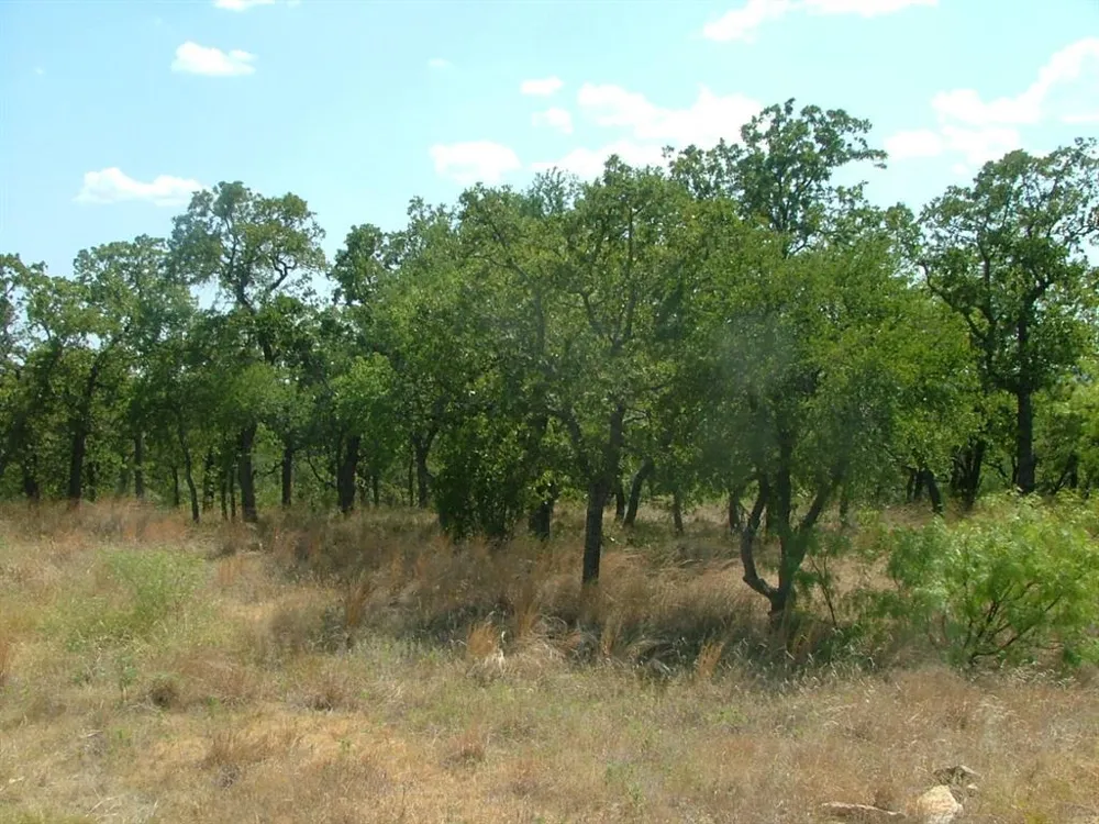 Ridgeline Drive Chico, TX 76431