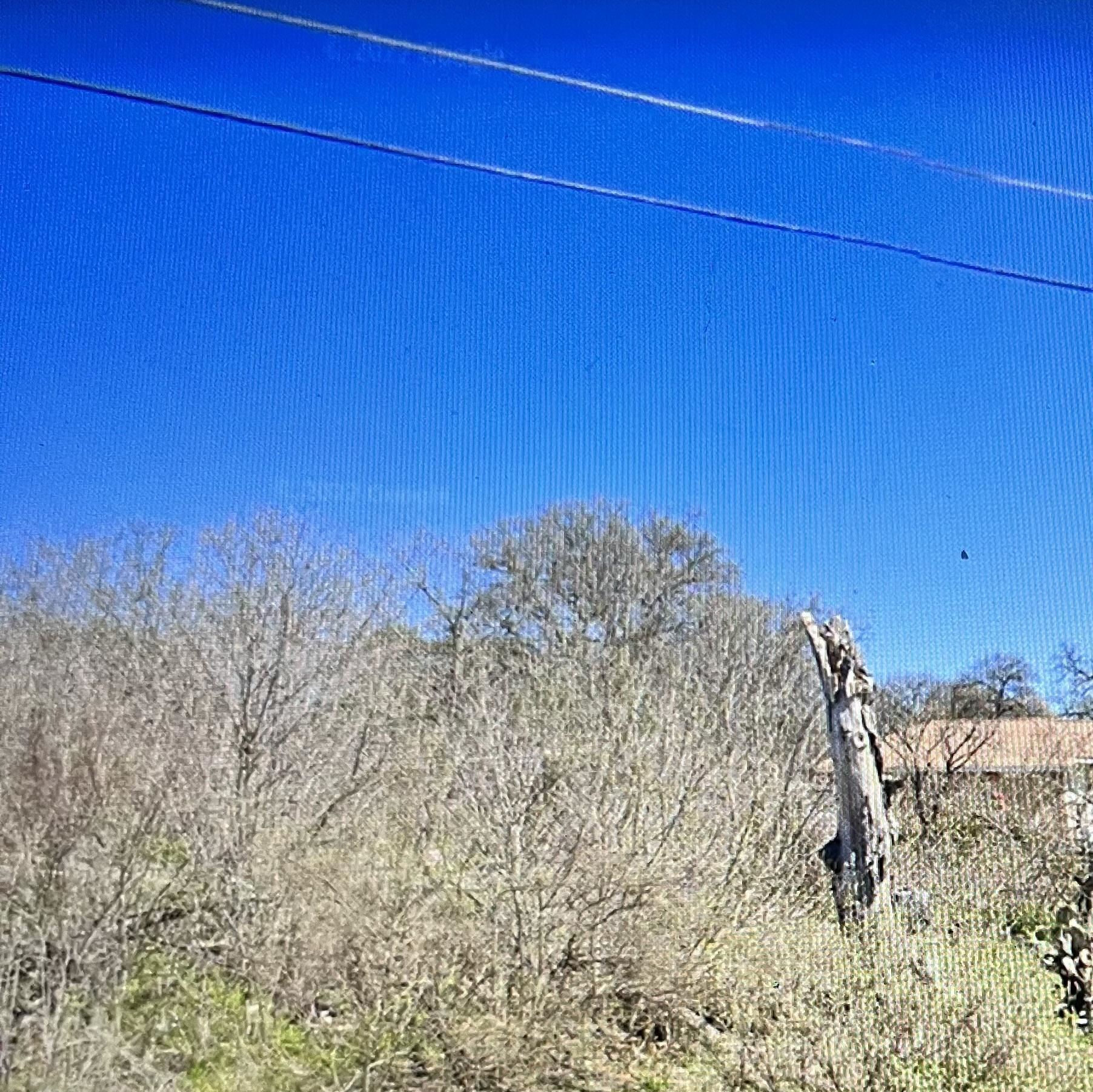 1405 Kingshigh Drive