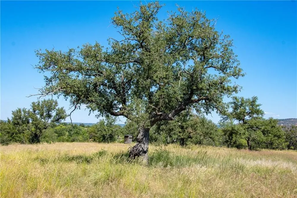 County Road 405 Valley Spring, TX 76885