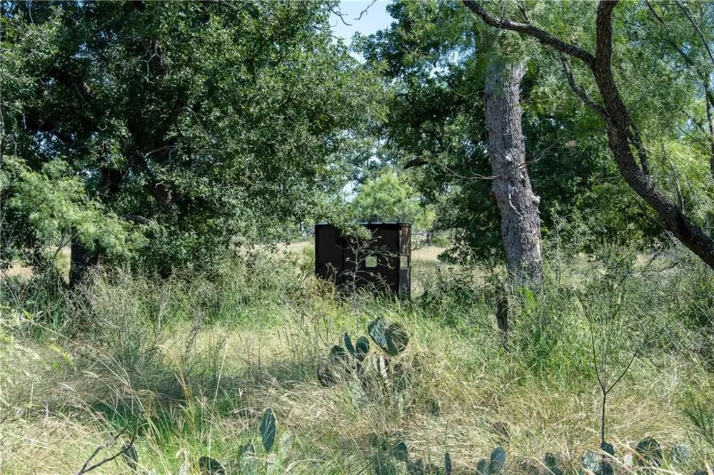 County Road 405 Valley Spring, TX 76885