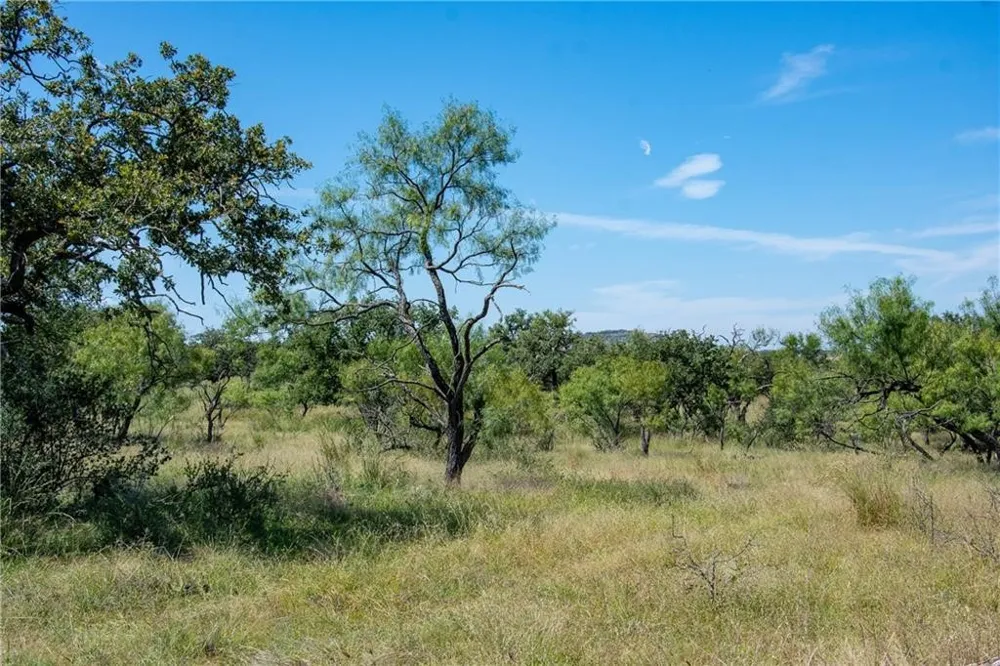County Road 405 Valley Spring, TX 76885