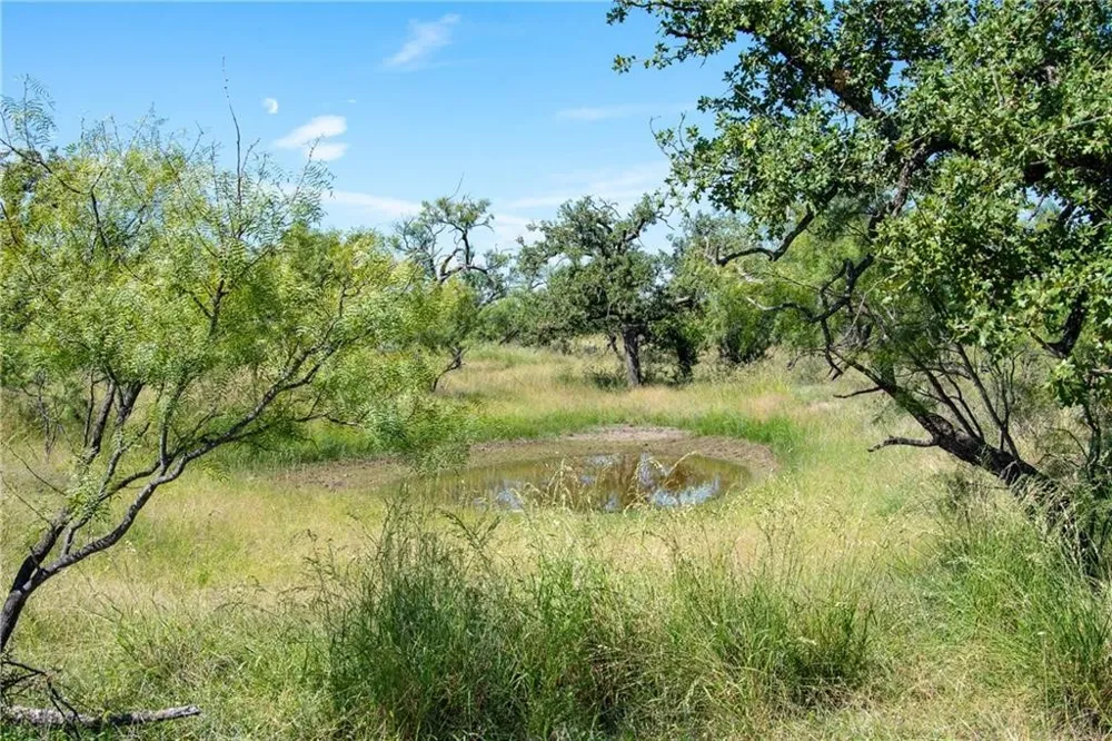 County Road 405 Valley Spring, TX 76885