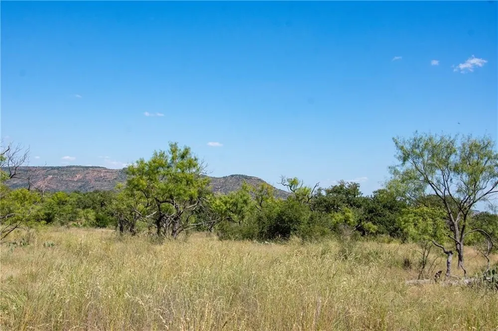 County Road 405 Valley Spring, TX 76885