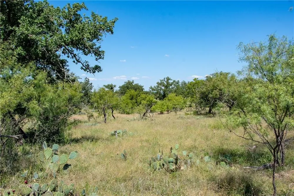 County Road 405 Valley Spring, TX 76885