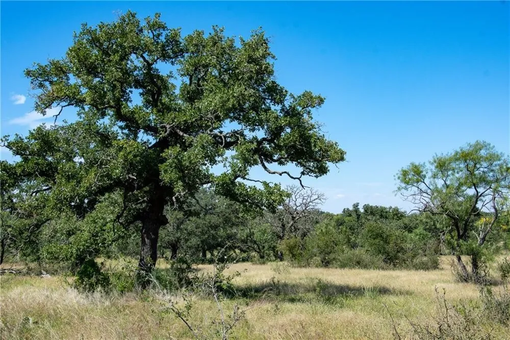 County Road 405 Valley Spring, TX 76885