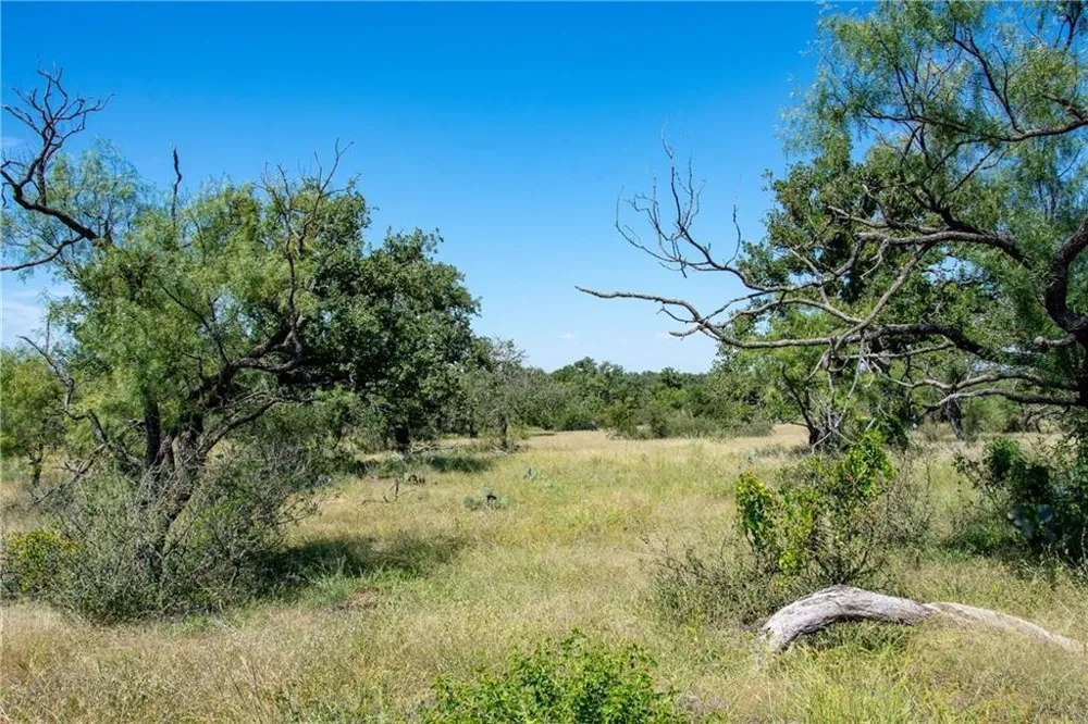 County Road 405 Valley Spring, TX 76885