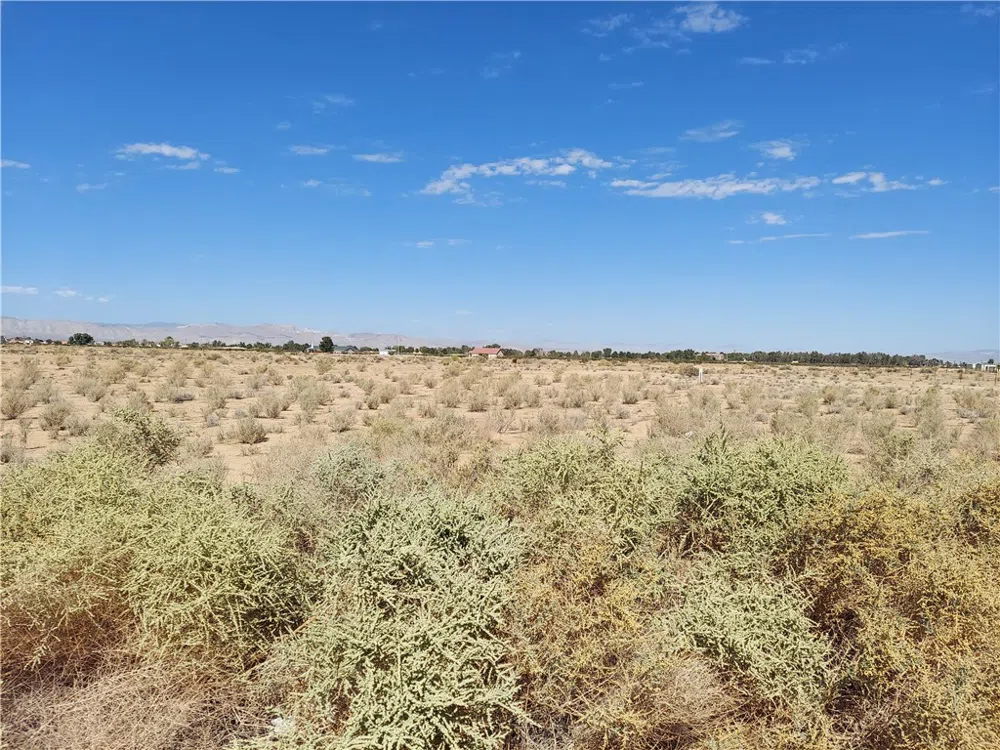 Oleander Ave #1 California City, CA 93505