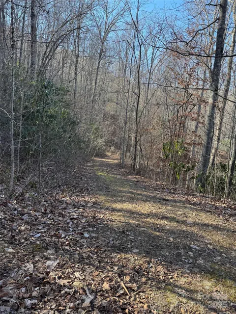 Lot #41 S Country Club Drive #41