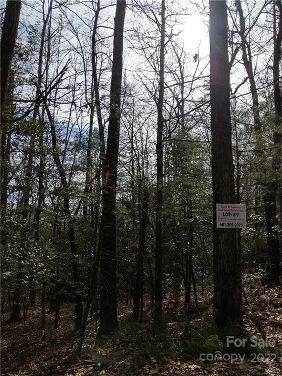 000 Dogwood Drive #E7 Penrose, NC 28766