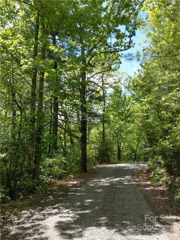000 Dogwood Drive #E7 Penrose, NC 28766