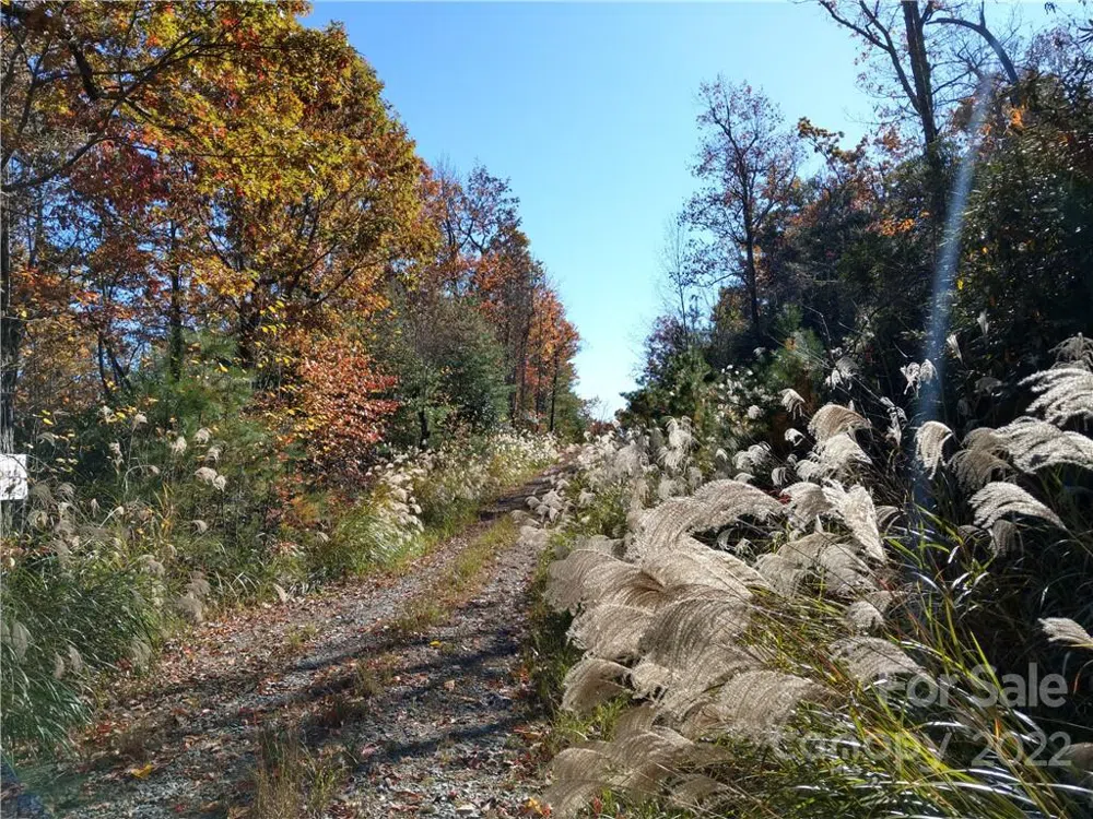 000 Dogwood Lane #E1 Penrose, NC 28766