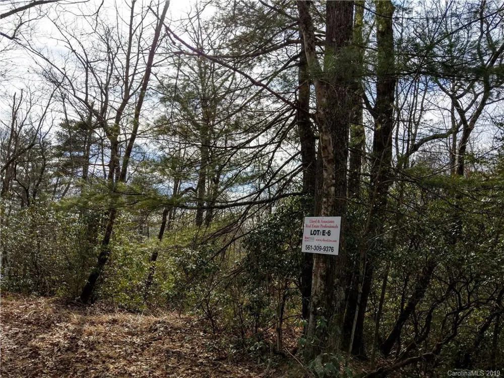 000 Dogwood Drive #E6 Penrose, NC 28766