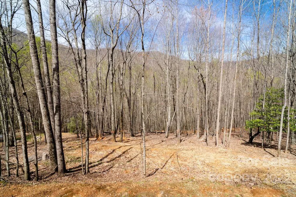 808 Stoney Stream Lane Arden, NC 28704