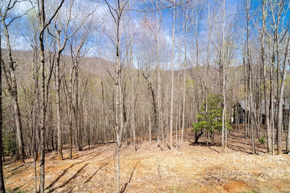 808 Stoney Stream Lane Arden, NC 28704