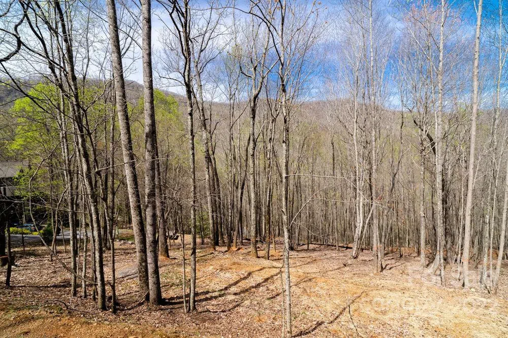 808 Stoney Stream Lane Arden, NC 28704