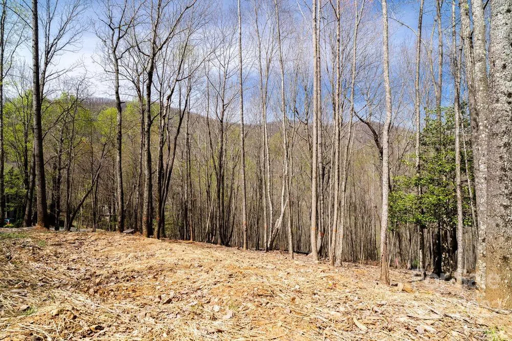 808 Stoney Stream Lane Arden, NC 28704