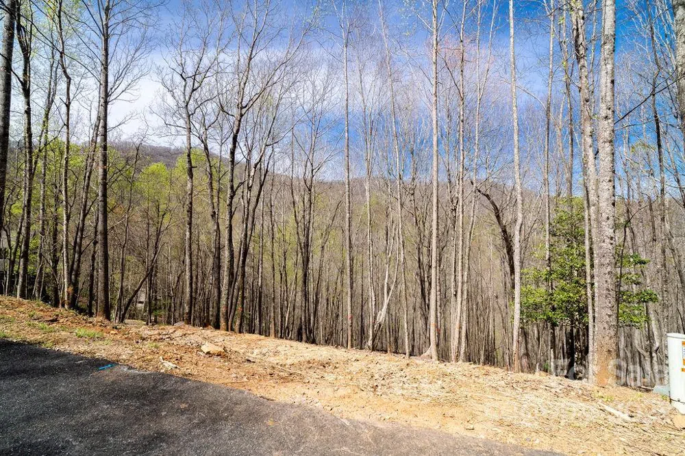 808 Stoney Stream Lane Arden, NC 28704
