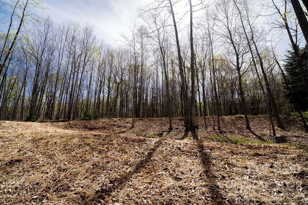 808 Stoney Stream Lane Arden, NC 28704