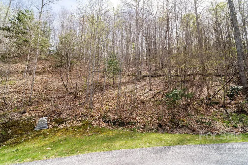 808 Stoney Stream Lane Arden, NC 28704