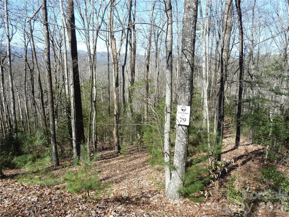 79 Peppervine Circle #L79 Rosman, NC 28772