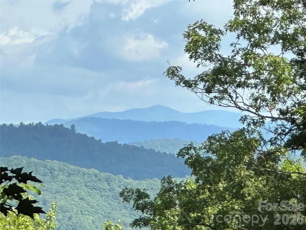 79 Peppervine Circle #L79 Rosman, NC 28772