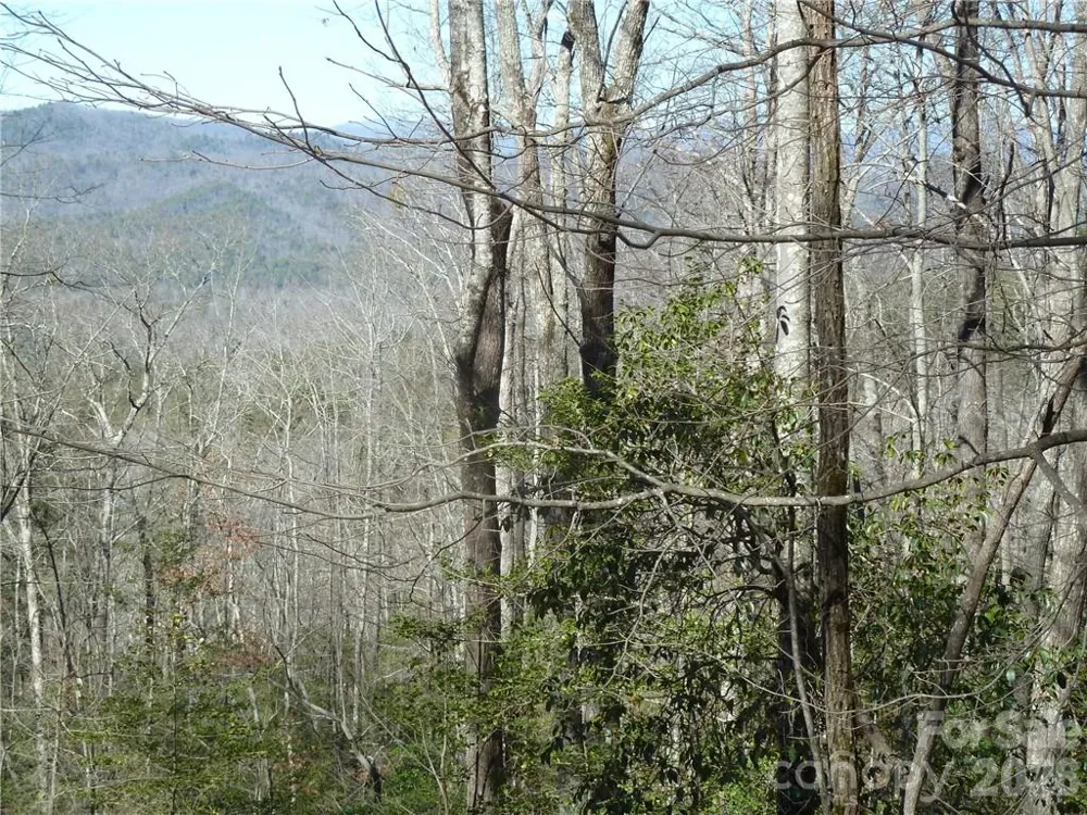 79 Peppervine Circle #L79 Rosman, NC 28772