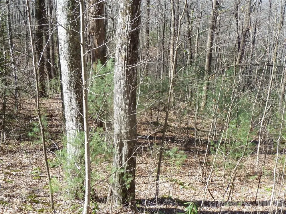 79 Peppervine Circle #L79 Rosman, NC 28772