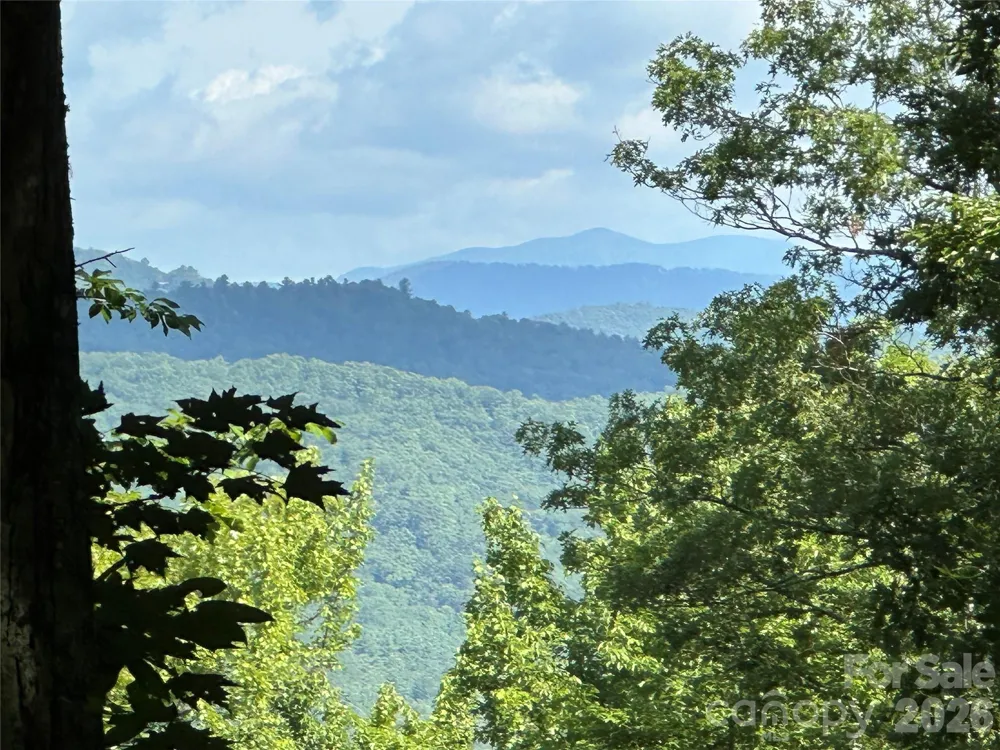 79 Peppervine Circle #L79 Rosman, NC 28772