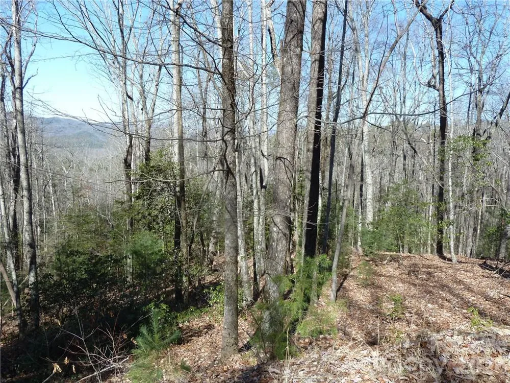 79 Peppervine Circle #L79 Rosman, NC 28772