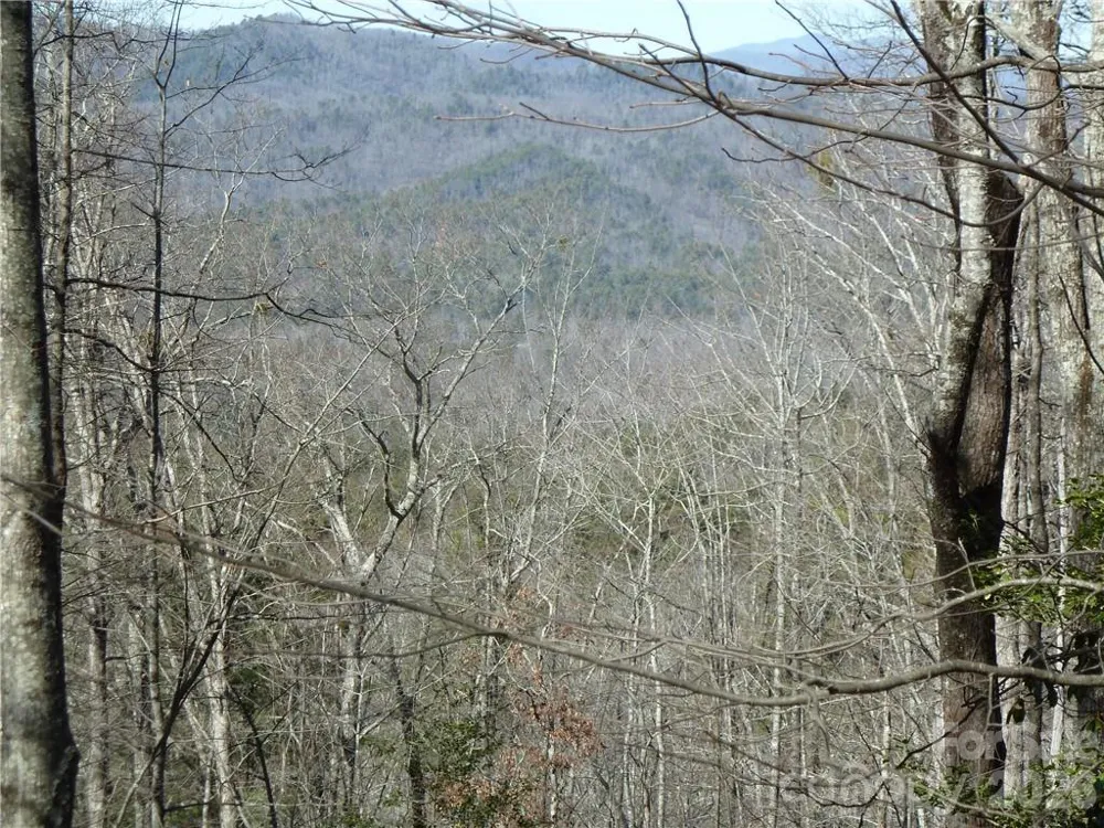 79 Peppervine Circle #L79 Rosman, NC 28772