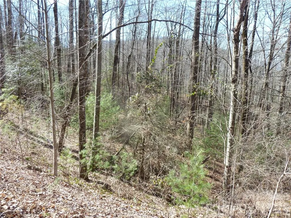 79 Peppervine Circle #L79 Rosman, NC 28772
