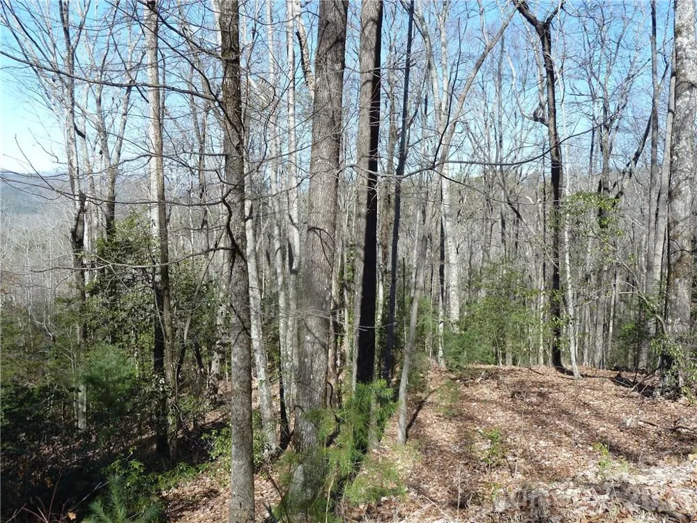79 Peppervine Circle #L79 Rosman, NC 28772