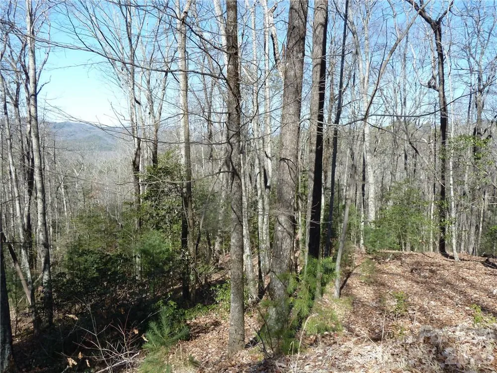 79 Peppervine Circle #L79 Rosman, NC 28772