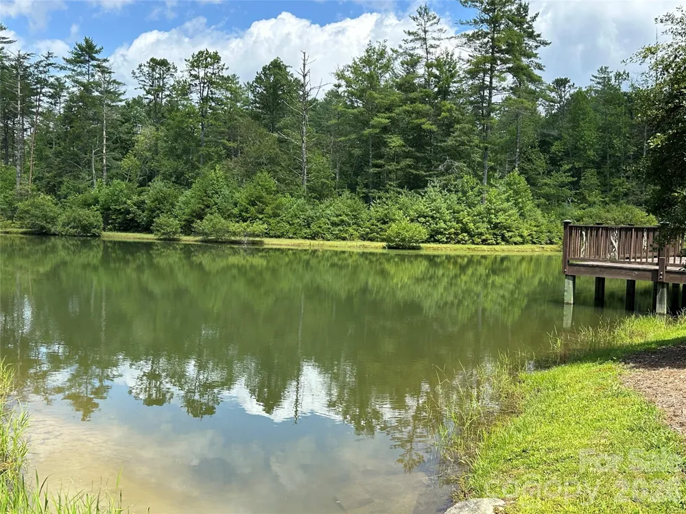79 Peppervine Circle #L79 Rosman, NC 28772