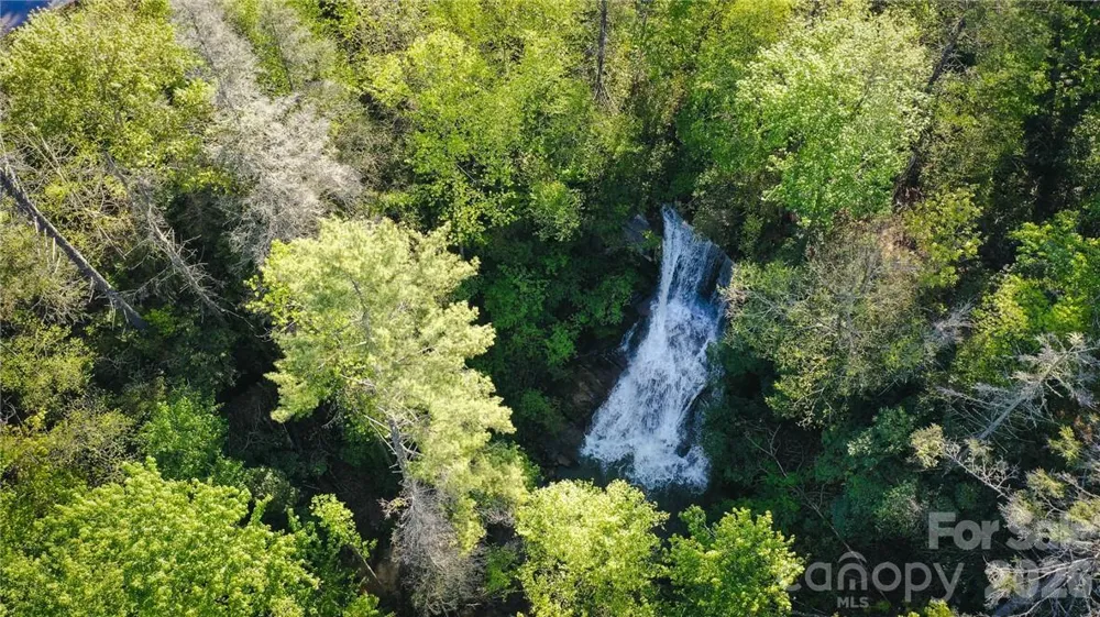 79 Peppervine Circle #L79 Rosman, NC 28772