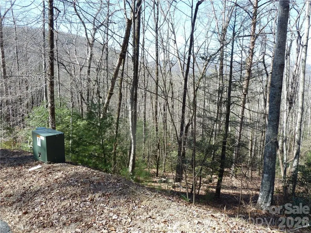 79 Peppervine Circle #L79 Rosman, NC 28772