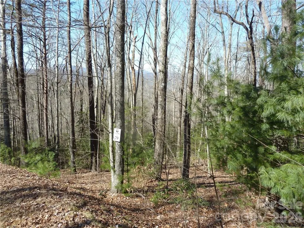 79 Peppervine Circle #L79 Rosman, NC 28772