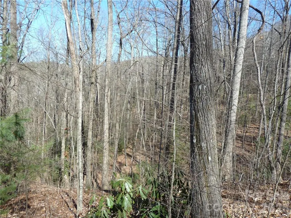 79 Peppervine Circle #L79 Rosman, NC 28772