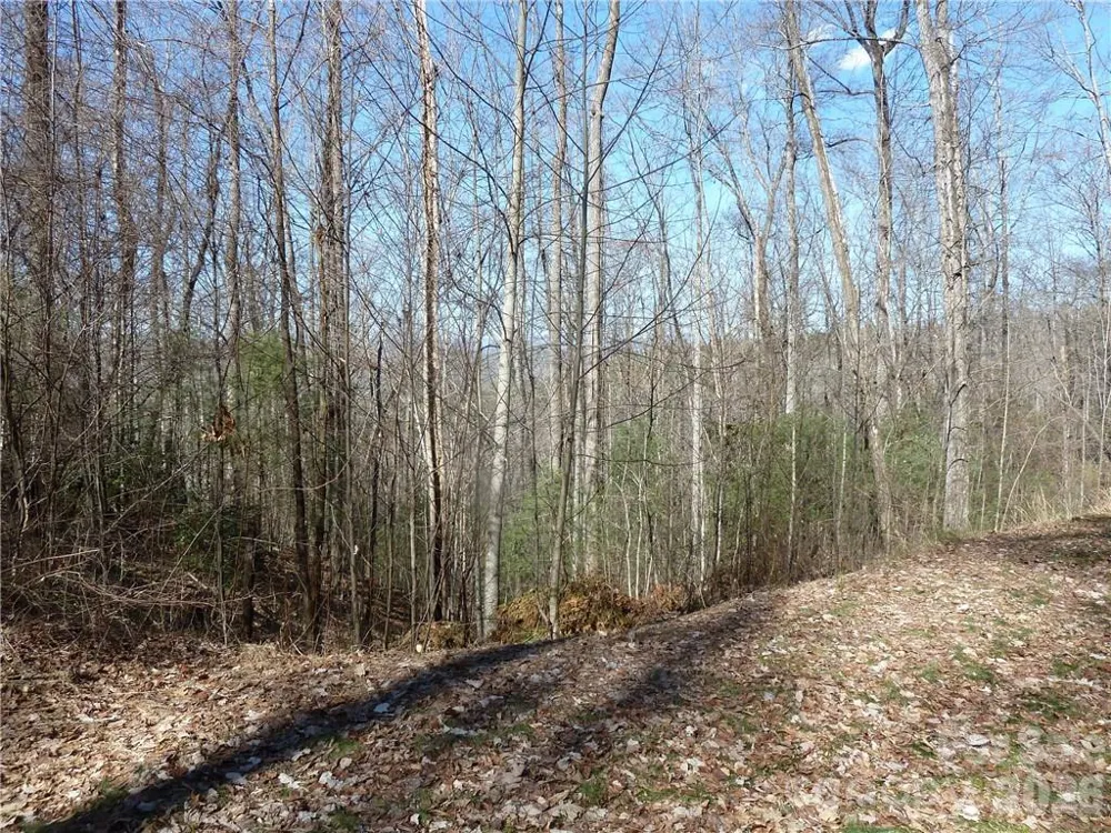 79 Peppervine Circle #L79 Rosman, NC 28772