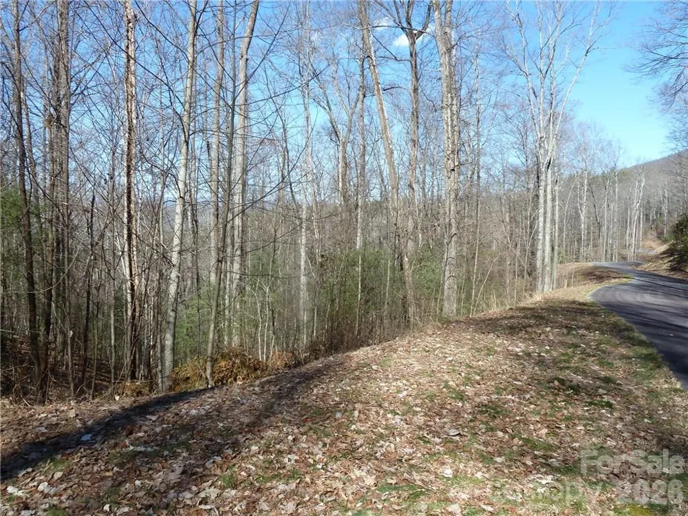 79 Peppervine Circle #L79 Rosman, NC 28772