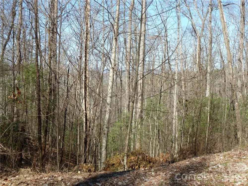 79 Peppervine Circle #L79 Rosman, NC 28772
