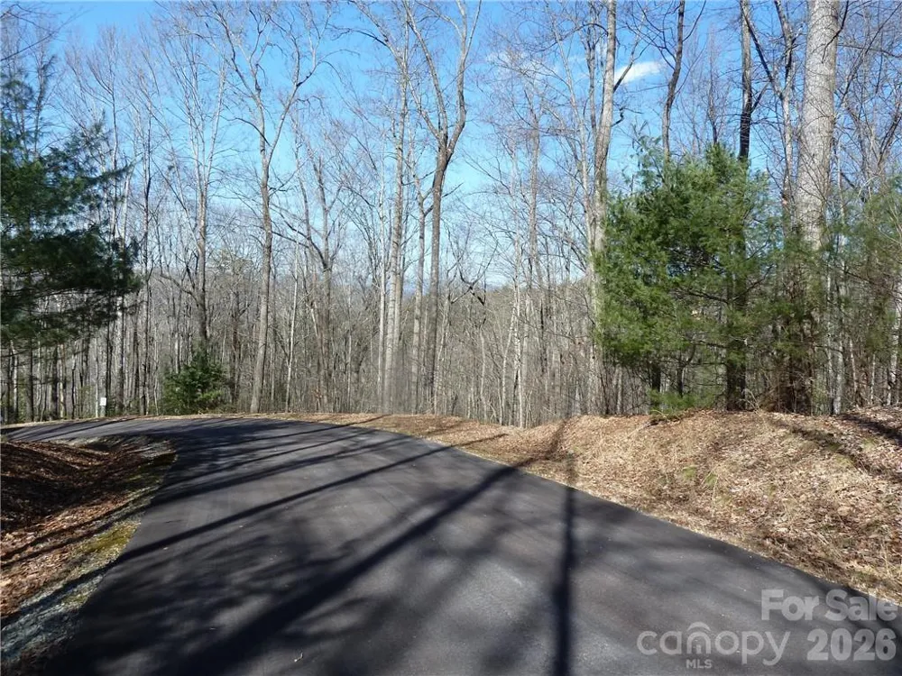 79 Peppervine Circle #L79 Rosman, NC 28772