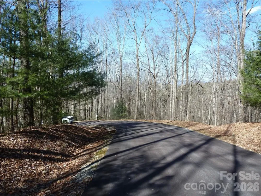 79 Peppervine Circle #L79 Rosman, NC 28772