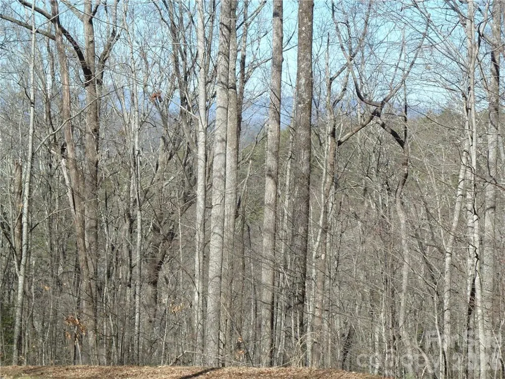 79 Peppervine Circle #L79 Rosman, NC 28772