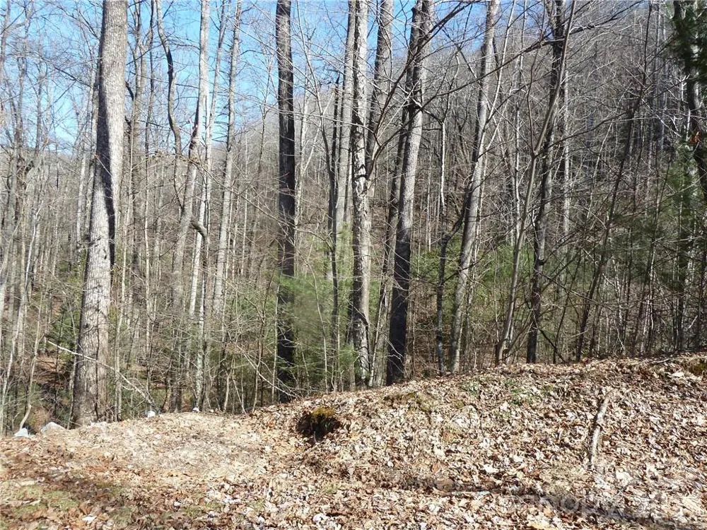 79 Peppervine Circle #L79 Rosman, NC 28772