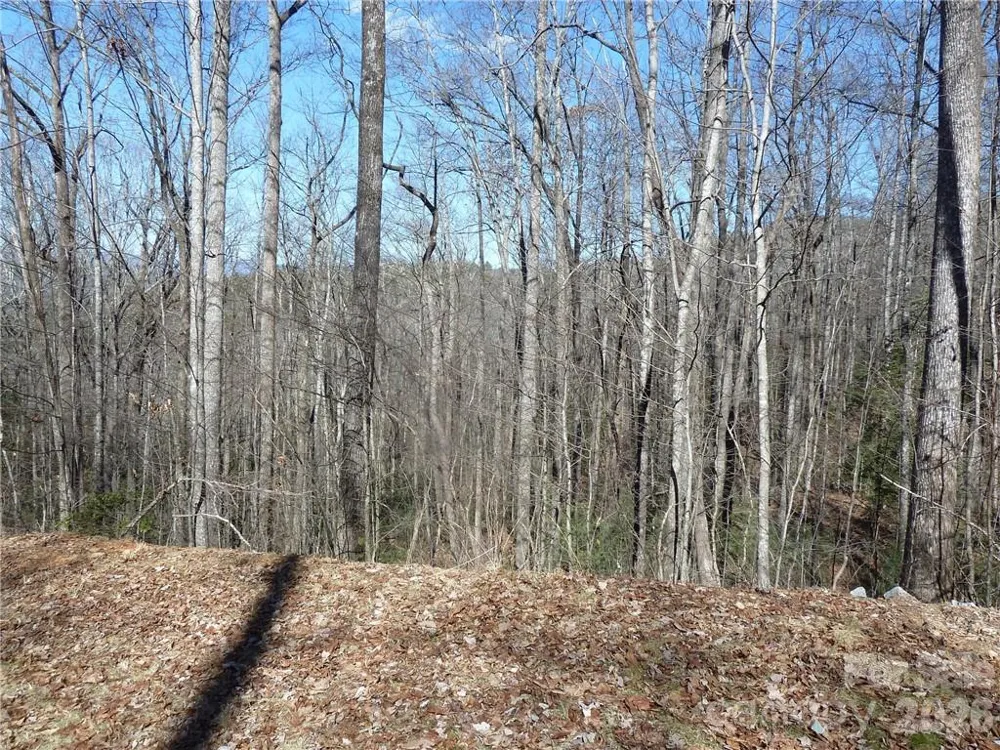 79 Peppervine Circle #L79 Rosman, NC 28772