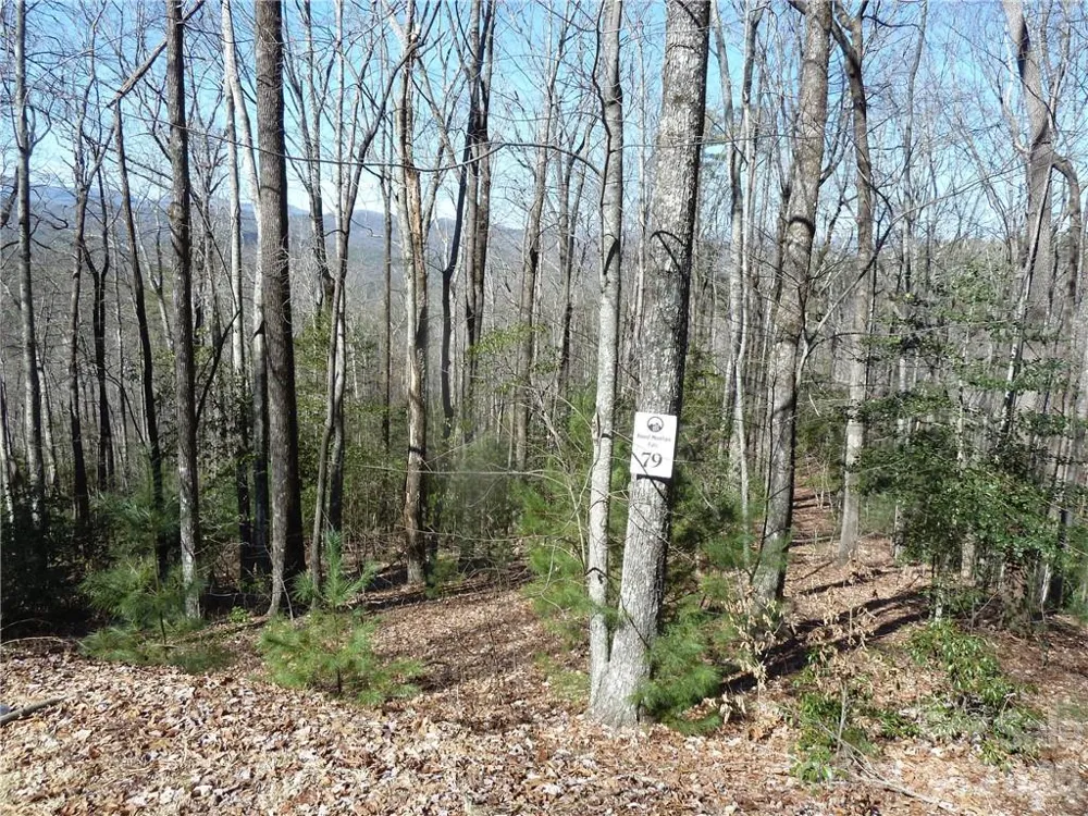 79 Peppervine Circle #L79 Rosman, NC 28772