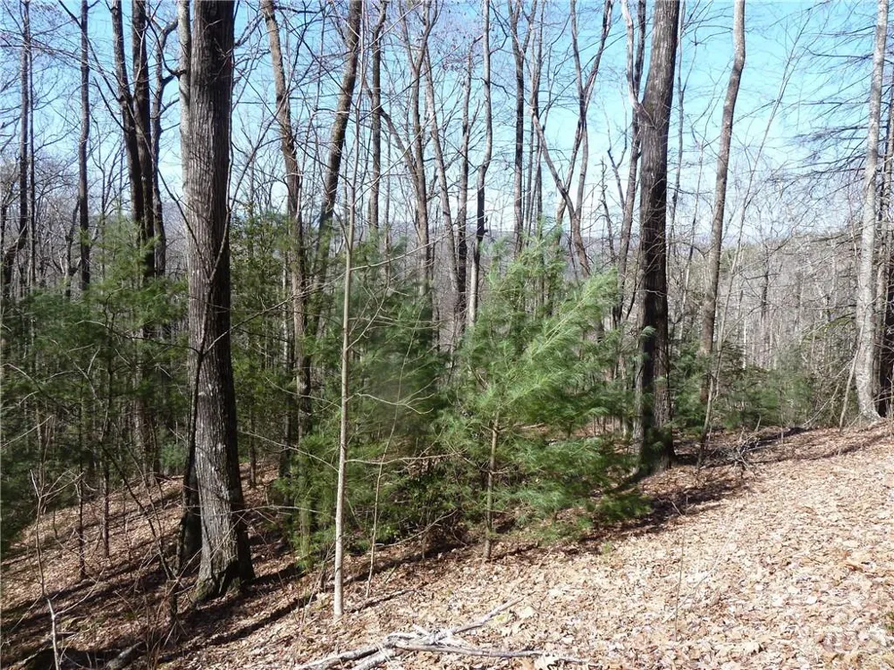 79 Peppervine Circle #L79 Rosman, NC 28772