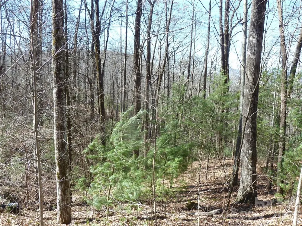 79 Peppervine Circle #L79 Rosman, NC 28772