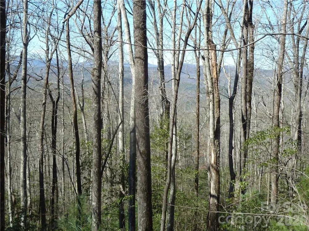 79 Peppervine Circle #L79 Rosman, NC 28772